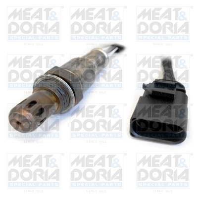Oxygen Sensor
